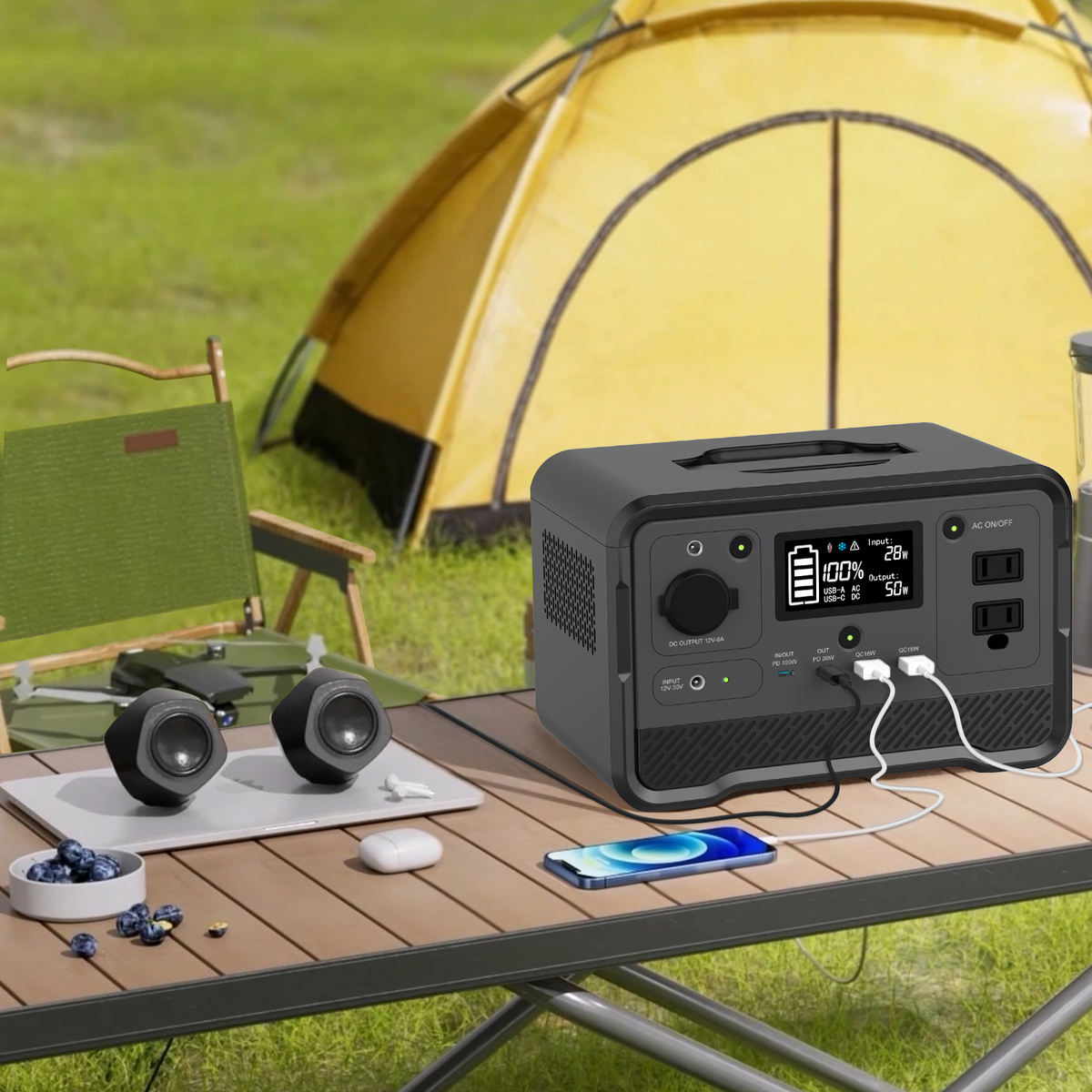 DPS-350D Portable Power Station | 297.6Wh LiFePO4 Battery, 350W AC Output